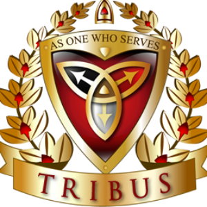 Profile photo of Admin Tribus