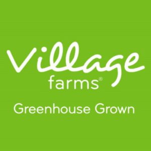 Profile photo of Village Farms International